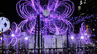 【完全保存版】札幌大通公園の歴史と年間行事ガイド：オータムフェストから雪祭りまで全てを徹底解説 
